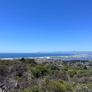 Meet your Posher, Harmony